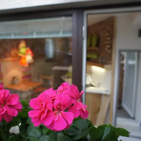 Apartma Little Biggie Studio *